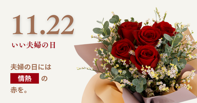 大切なあの夫婦に贈る“いい夫婦の日”ギフト｜想いを届ける3つのアイデア