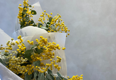 【3月8日はミモザの日】感謝の気持ちを伝える特別なフラワーギフト