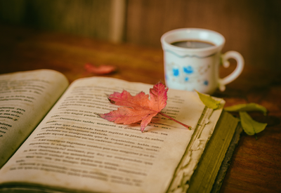10月27日は読書の日！