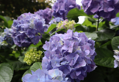 ジメジメする梅雨に向けて