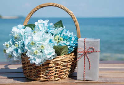 2022年お中元特集