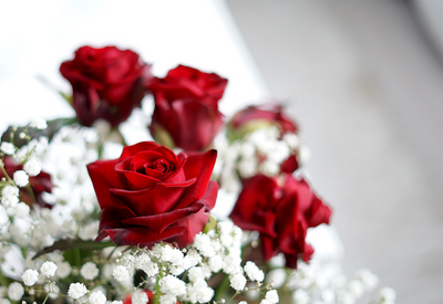 6月2日はローズの日