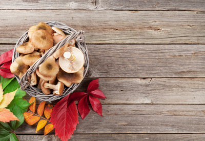 食欲の秋におすすめの人気ギフト特集