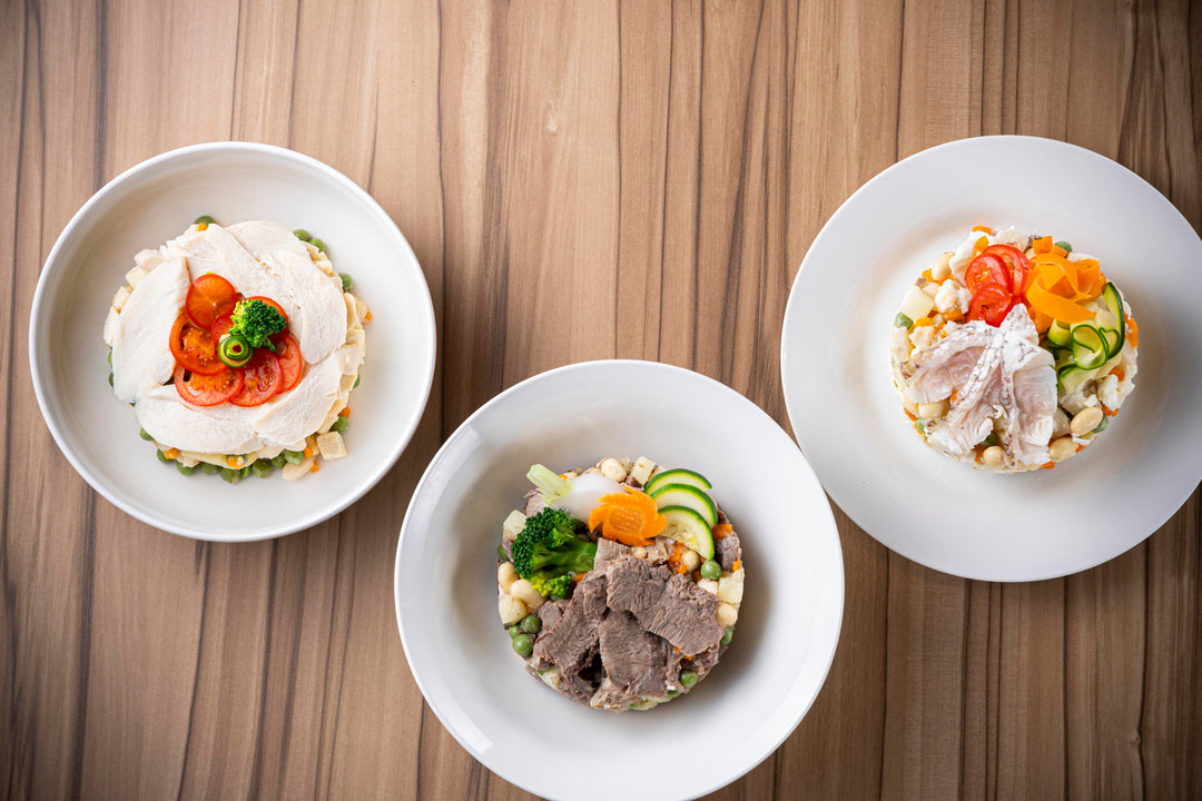 SOW EXPERIENCE《体験ギフト》ドッグリゾートギフト – アニクリ