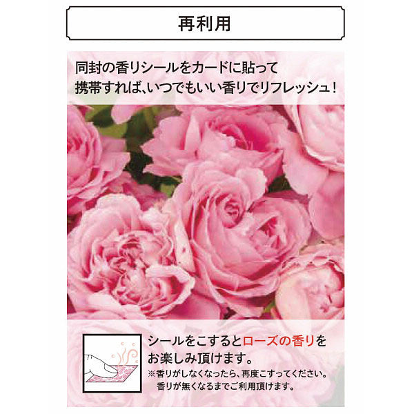 カードギフト　アズユーライク　ＣＥ