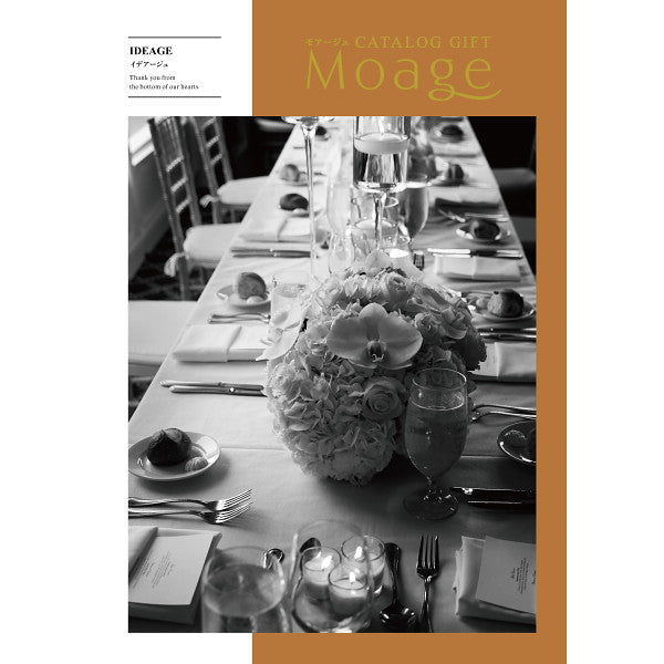 ＭＯＡＧＥイデアージュＡＯＯ-Ｂ