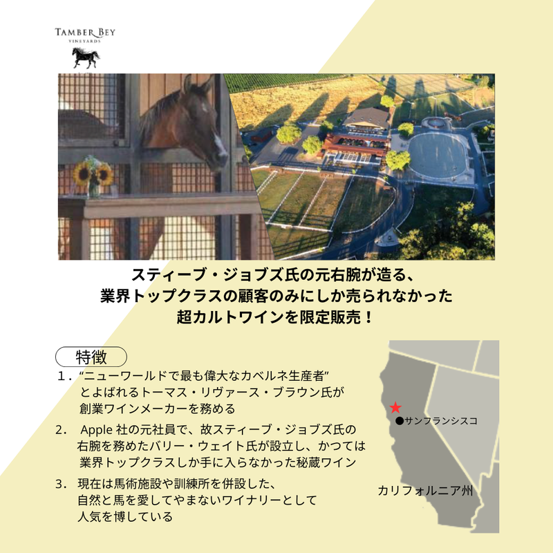 タンバーベイ　ヴィンヤーズ ナパ・ヴァレー希少ワイン白2本セット