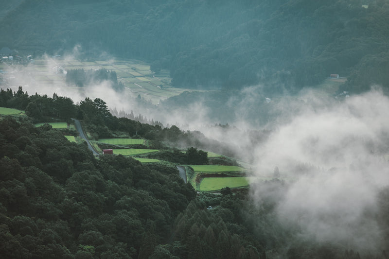 サカエ千曲リバーサイド1.8kg