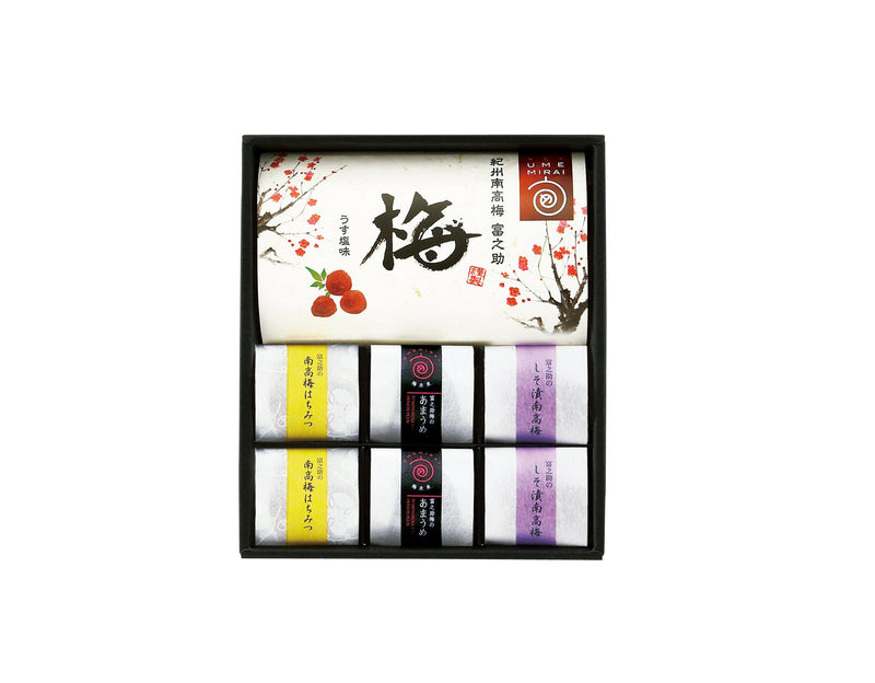 梅未来 紀州南高梅4種詰合せ