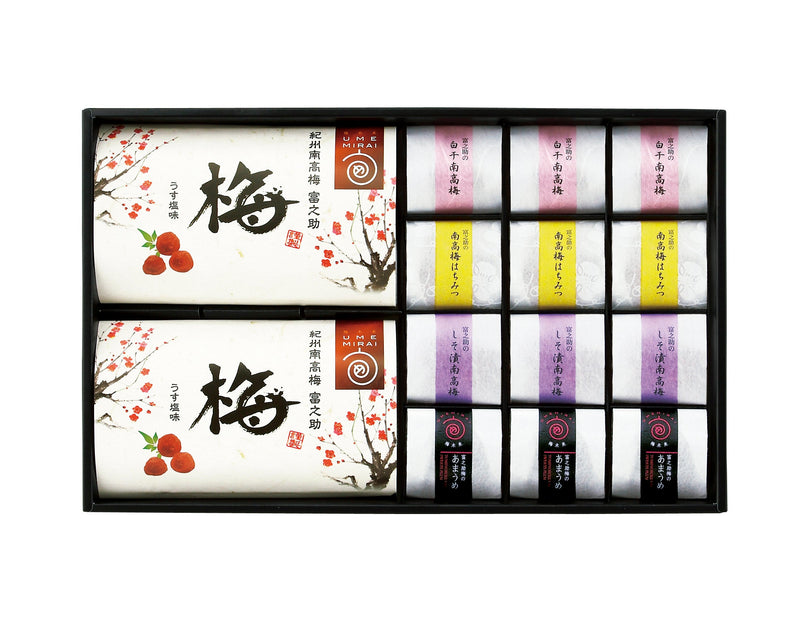 梅未来 紀州南高梅5種詰合せ
