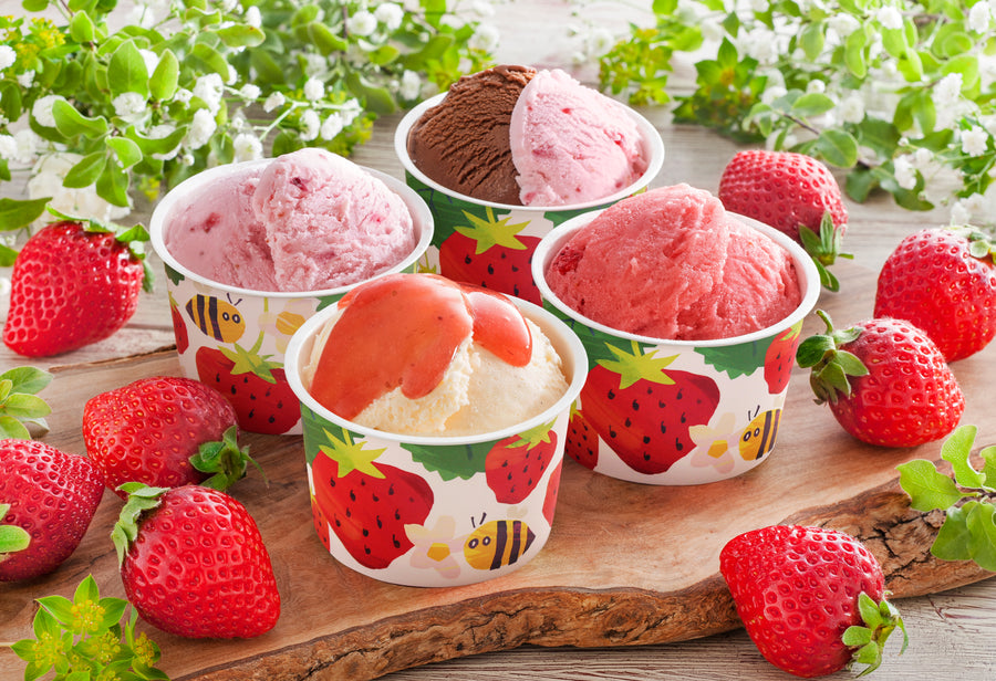 京菓匠 笹屋伊織監修 アイスアソート 10個入 – アニクリオンラインストア