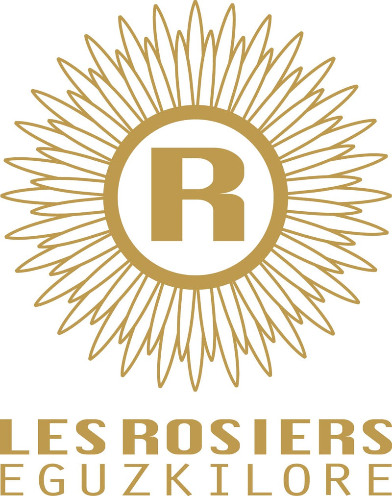 銀座京橋 レ ロジェ エギュスキロール 銀座プチガトー＆ショコラ