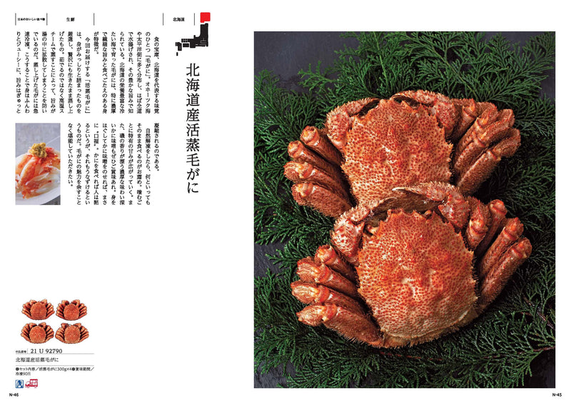 【冊子】MADE IN JAPAN with 日本のおいしい食べ物　MJ21＋柳