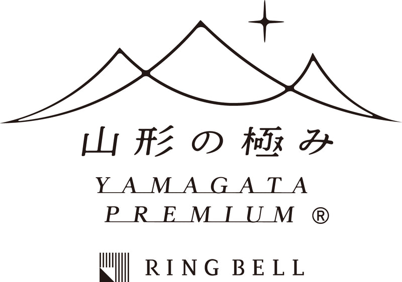山形の極み　山形牛特製ハンバーグ　１２個