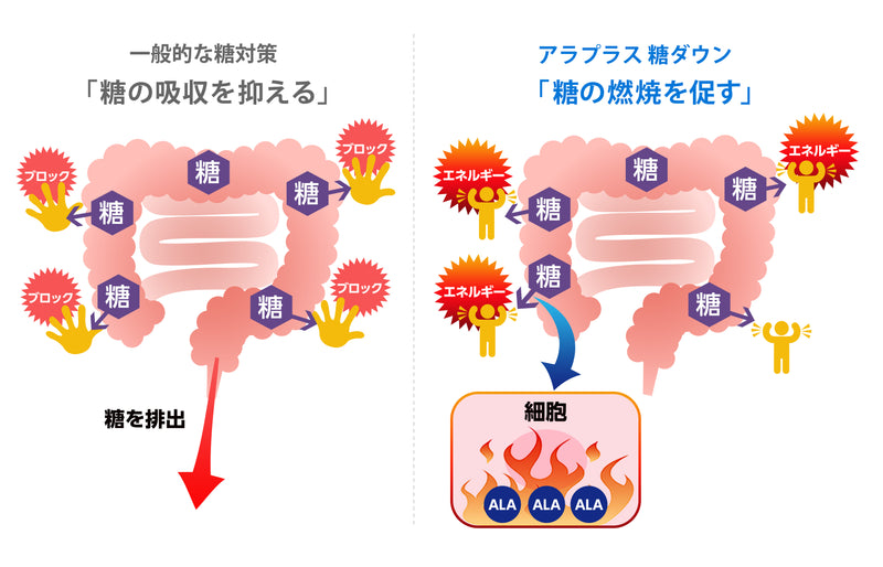 アラプラス 糖ダウン(30日分)